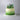 Verdant Ombre Birthday Cake