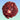 Red Velvet Cookie